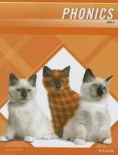 PLAID PHONICS 2011 WORD STUDY STUDENT EDITION LEVEL D