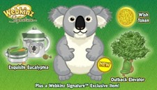 WEBKINZ KOALA BEAR SIGNATURE WKS1028 classic Virtual adoption CODE ONLY messaged