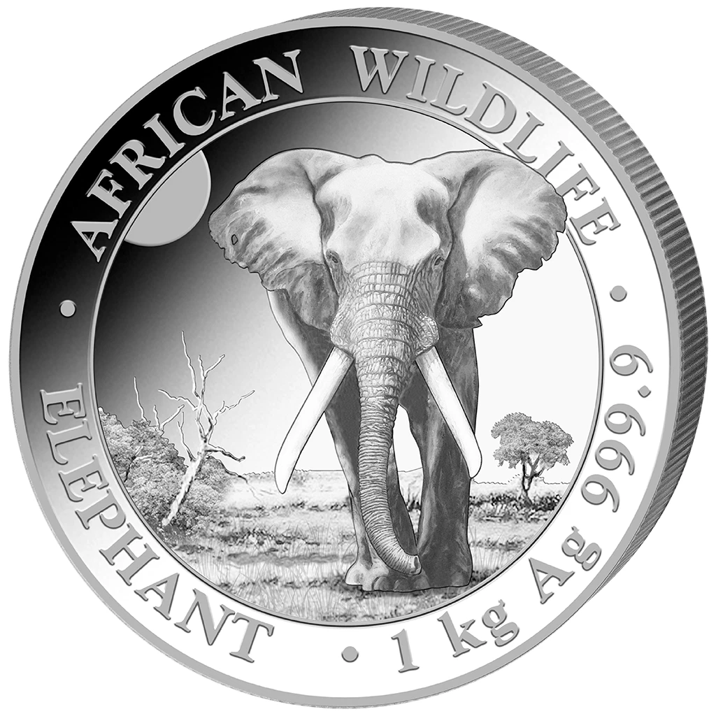 Silbermünze 1kg Elefant African Wildlife 2025 - Somalia - Anlagemünze - ST