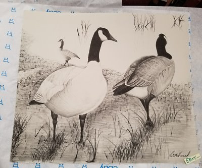 Original Graphite Drawing Canadian Geese Signed