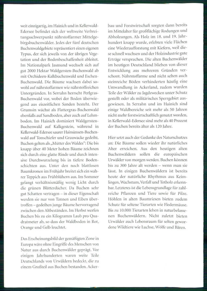 GERMANY FOLDER 2014/05 FLORA TREES TREE BEECH BÄUME BAUM BUCHE KELLERWALD - Image 4 of 4