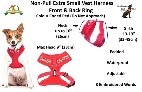 Warning Dog Colour Coded Collar Lead Harness CAUTION, TRAINING Sizes & Styles - Picture 35 of 39