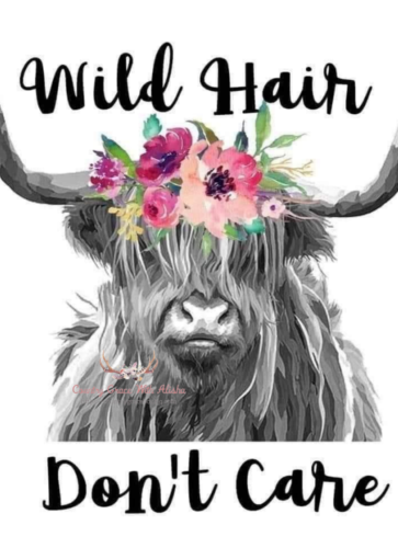 Wild Hair Dont Care Sublimation Transfer Ready to Press - Afbeelding 1 van 1