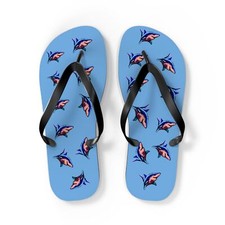 Flip Flops