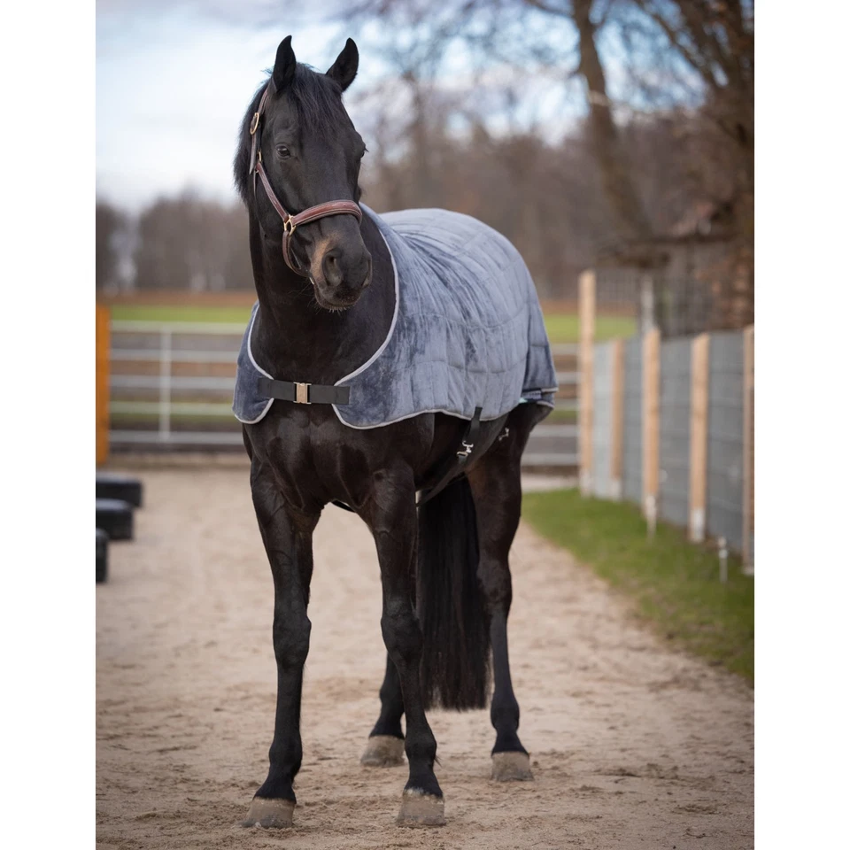 ShieldOn RELAXAH Gewichtsdecke - Entspannungsdecke für Pferde Beruhigung 