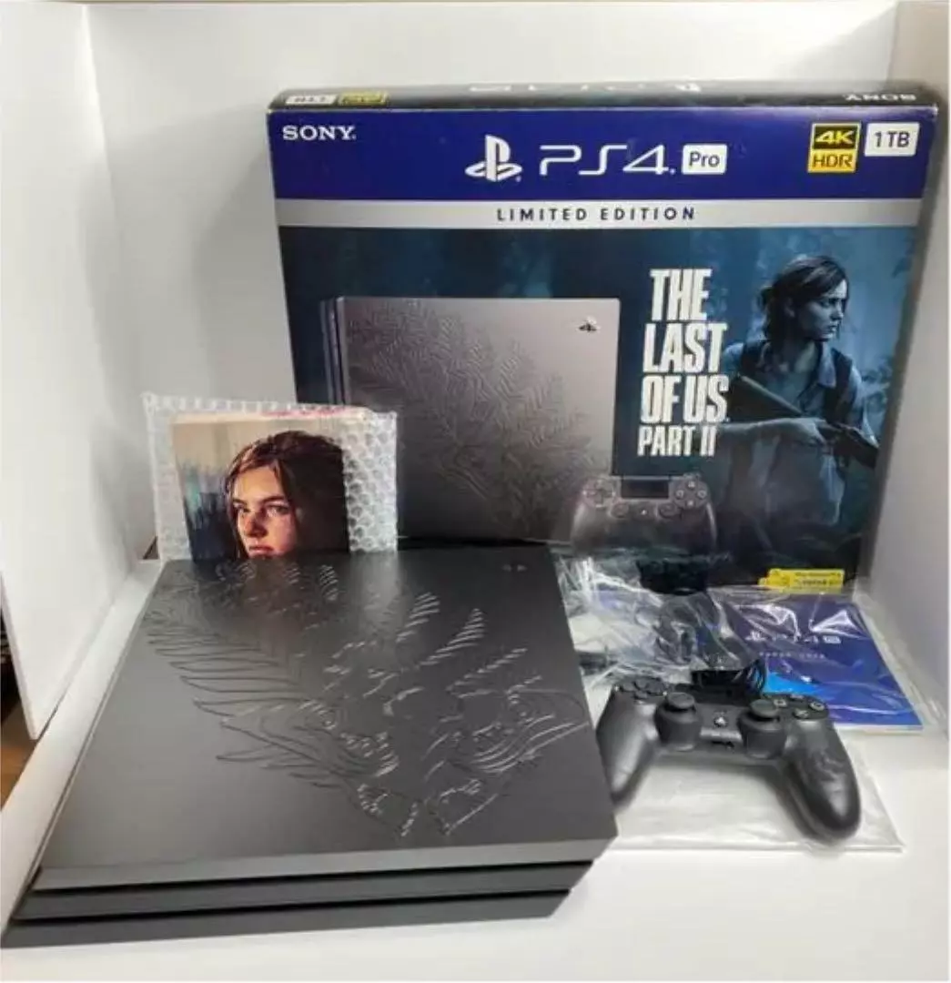  The Last of Us Part II - PlayStation 4 Collector's Edition :  Everything Else