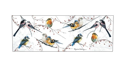 Tarka Mug - Mixed Birds - Picture 2 of 2