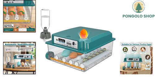 Stable Temperature Egg Incubator 12-16 Eggs with Auto Humidification Feature - Picture 2 of 10