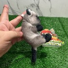 Foto 4 di 7