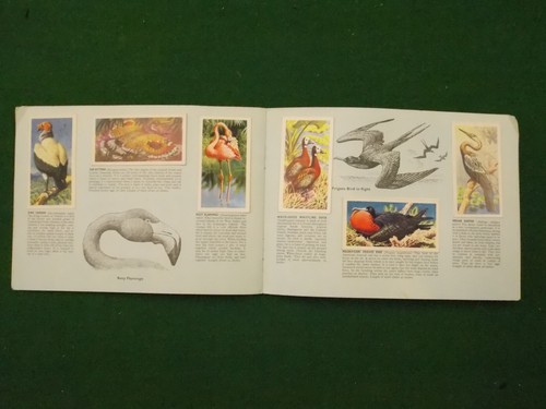 Brooke Bond Tea Cards Tropical Birds 1961 Complete Set in Album - Picture 2 of 3