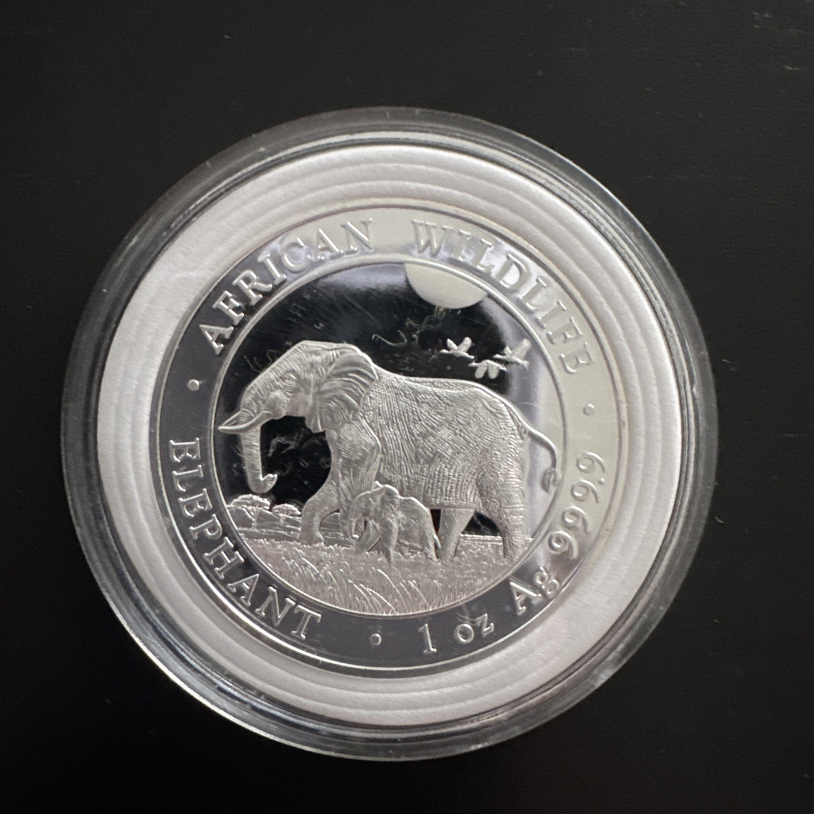 2022 Somalia 1 oz Silver Elephant Coin African Wildlife Design 100 Shillings BU
