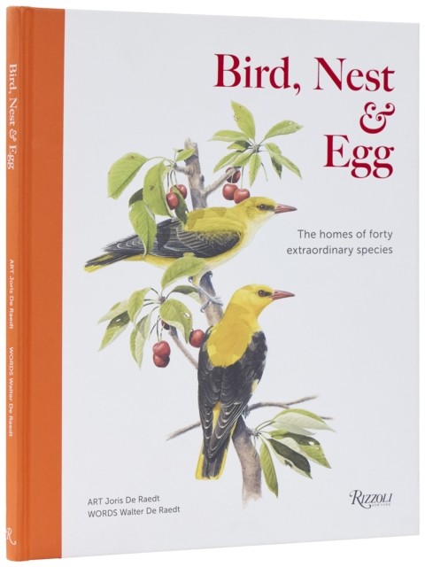 Bird Nest & Egg - Image 3