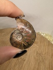 Amonite Fossil Pendant