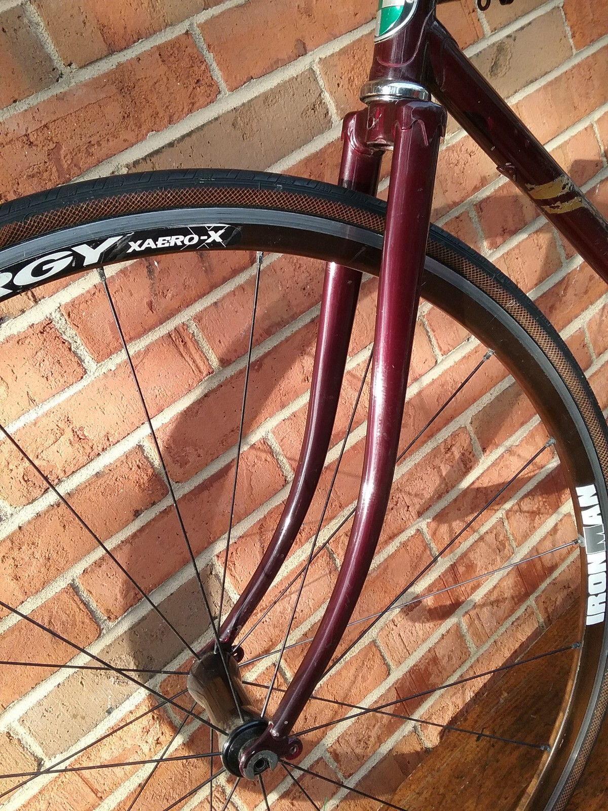 Picture 22 of 23
