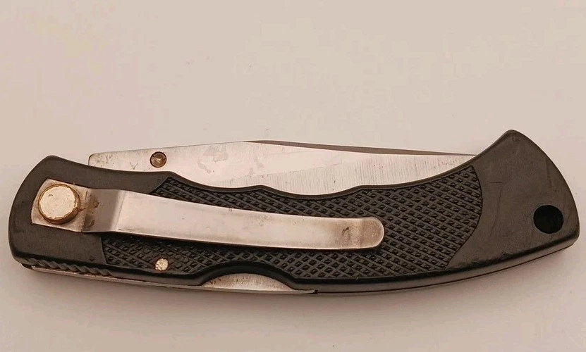 RARE 1999 DALE EARNHARDT #3  25th Anniversary LOCKBACK by FROST  - Image 3 of 4