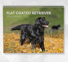 Flat Coated Retriever Calendar 2026: Monthly Wall Calendar with Notes