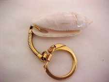 Vintage Genuine Seashell Sea Shell Gold Tone Snake Chain Key Ring 4"