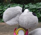 Foto 5 di 12