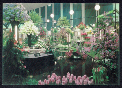coloured postcard '' Int. Green Week Berlin 1981'' with special postmark