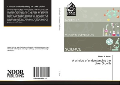 A window of understanding the Liver Growth Abeer H. Amer