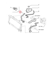 Flexibler KüHlschlauch Radiator Fiat Punto - Lancia Y Original 46472442