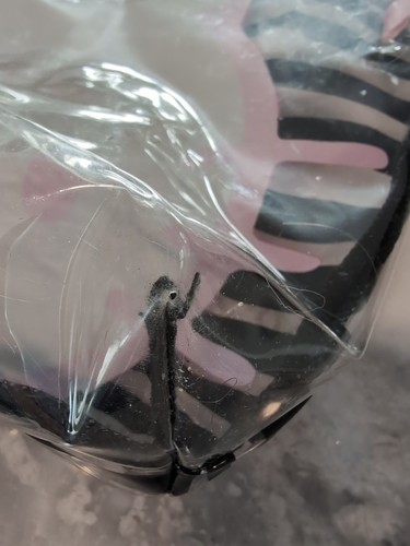 Hello Kitty Sanrio F.A.B. Starpoint Clear Tote Zebra Stripe 2013 Bag Purse - Picture 7 of 10