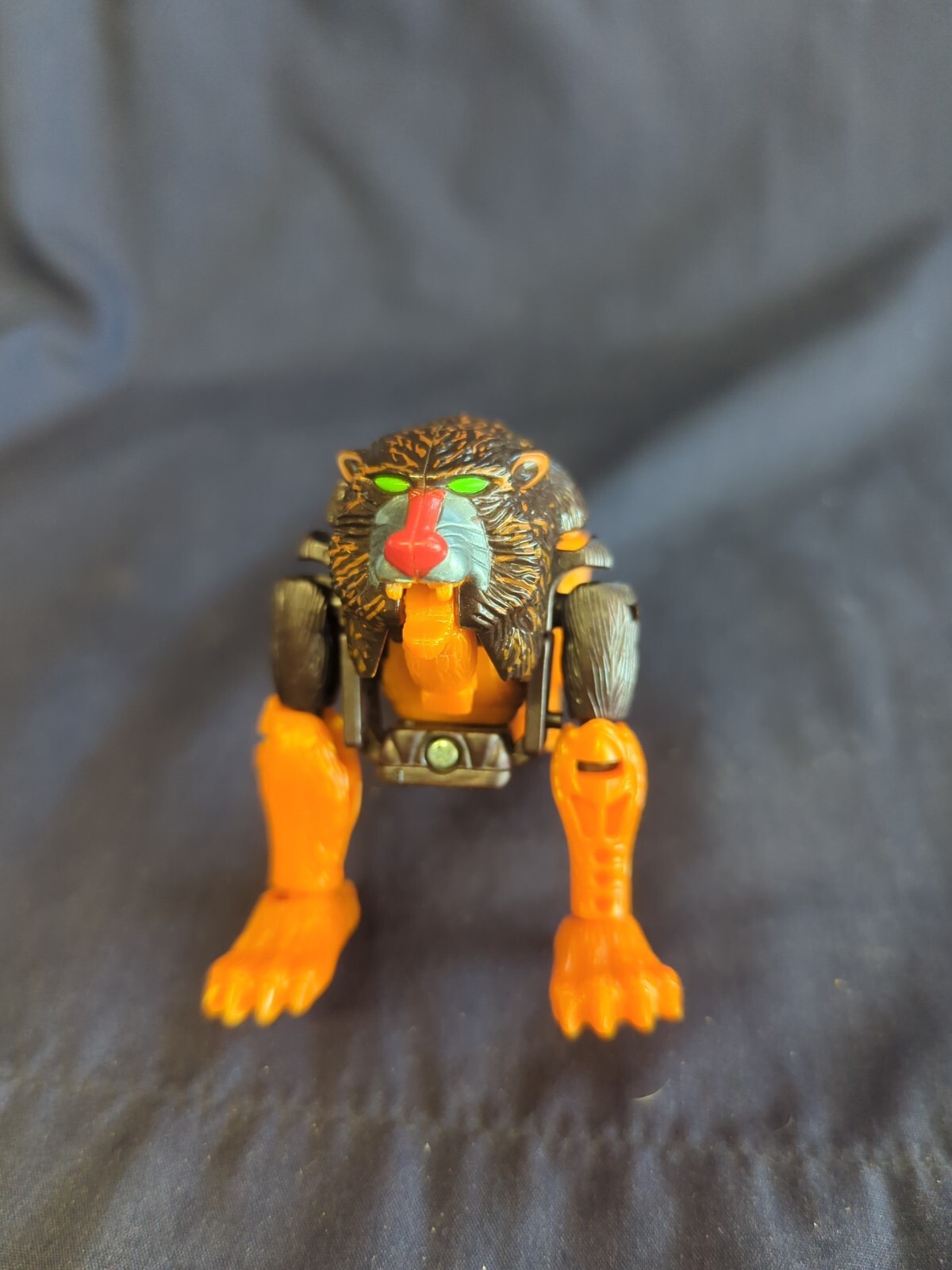 Picture 10 of 11