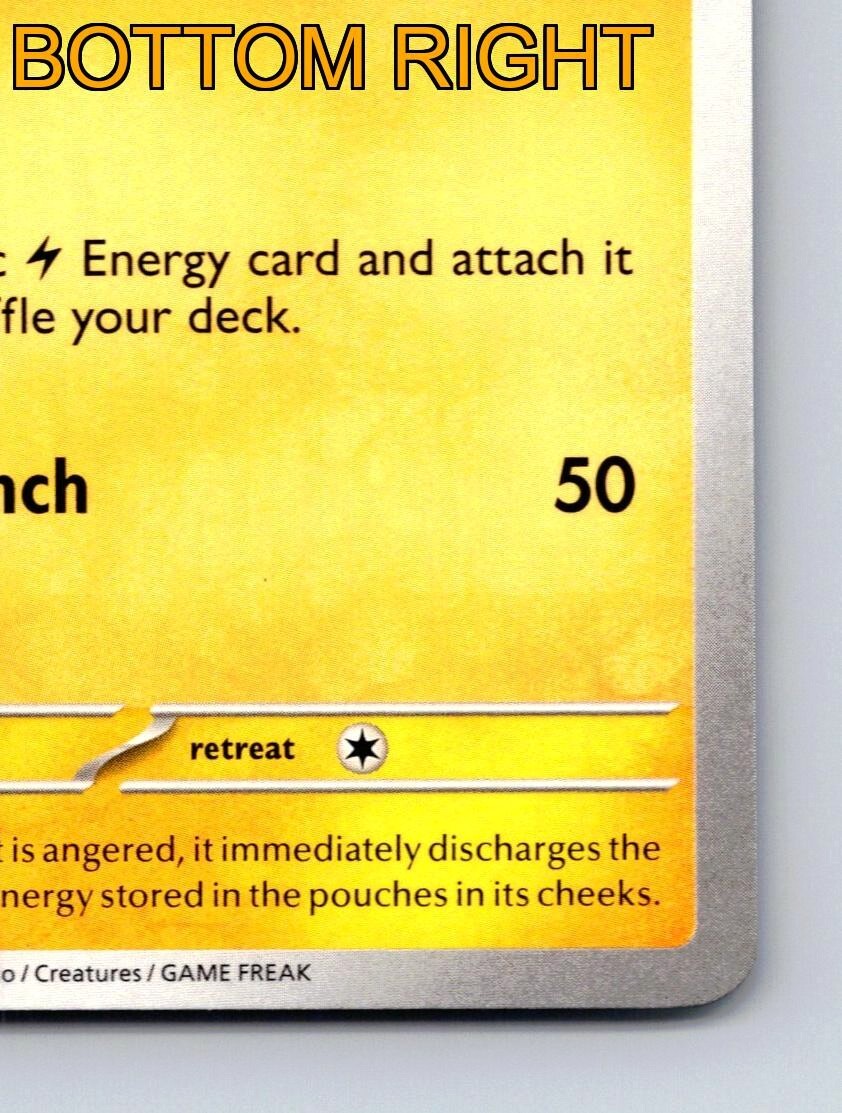 Pikachu HP 60 Pika Punch Attack Rarity Yellow Colorful Pokémon | eBay