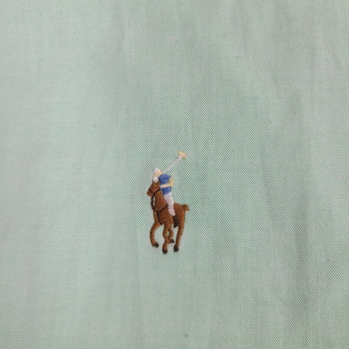Vtg Polo Ralph Lauren Shirt 17 1/2 34/35 Sea Foam Green Classic Fit Flesh Pony - Picture 2 of 9