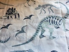 Pottery Barn Kids Dinosaur Twin Flat Sheet Organic Cotton Dino Bones 1pc EUC