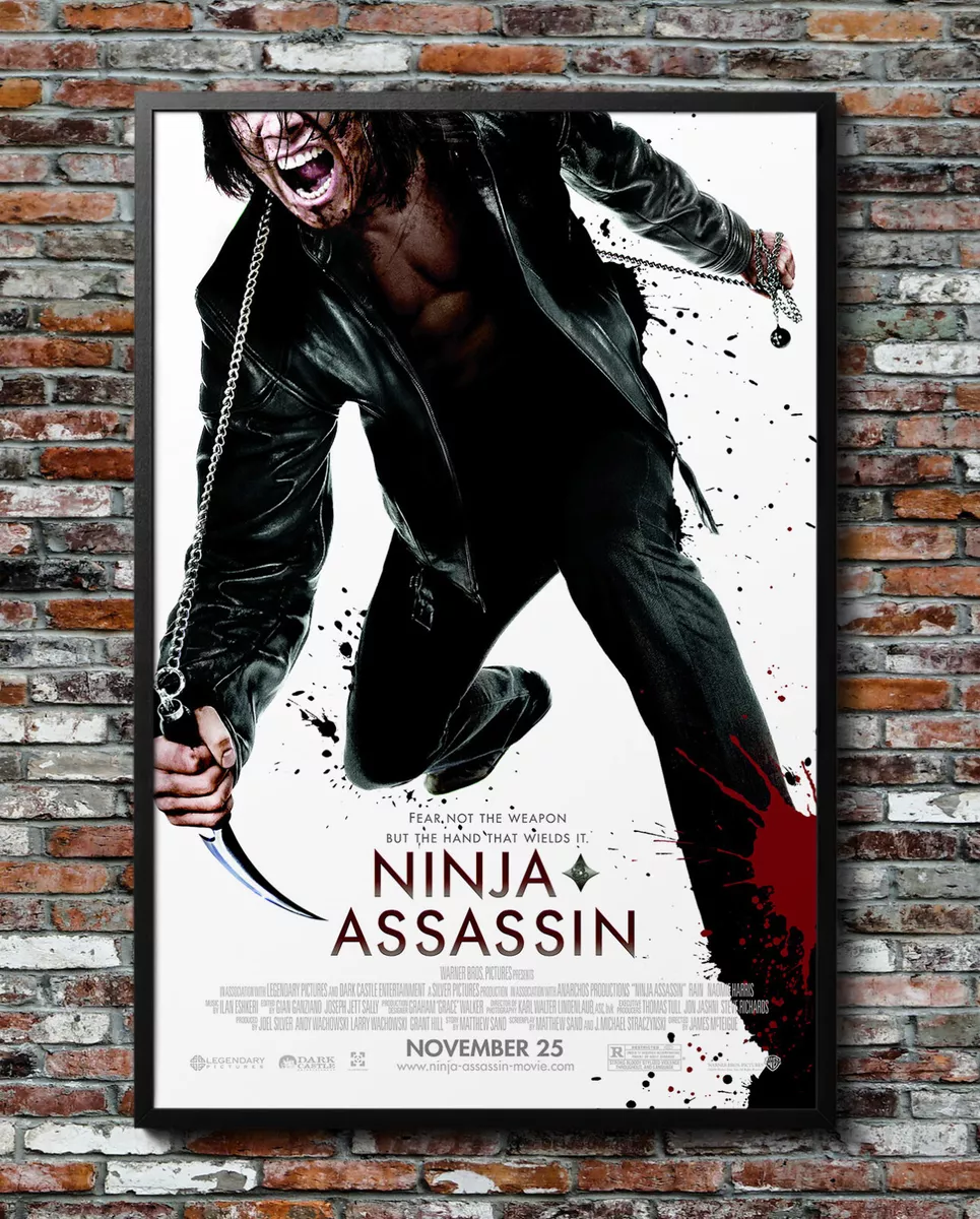 Ninja Assassin 2009 Movie Poster 24x36 Borderless Glossy 0956