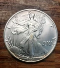 1991 American Silver Eagle BU Toned Walking Liberty Coin 1oz .999 Fine Silver