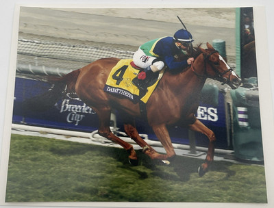2014 Breeders Cup Grade 1 Filly & Mare Turf Dayatthespa & Javier 8x10 Photo