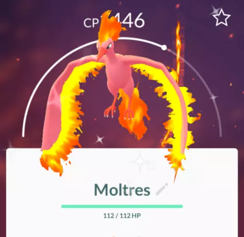 Can you catch a shiny Moltres in Pokemon GO?