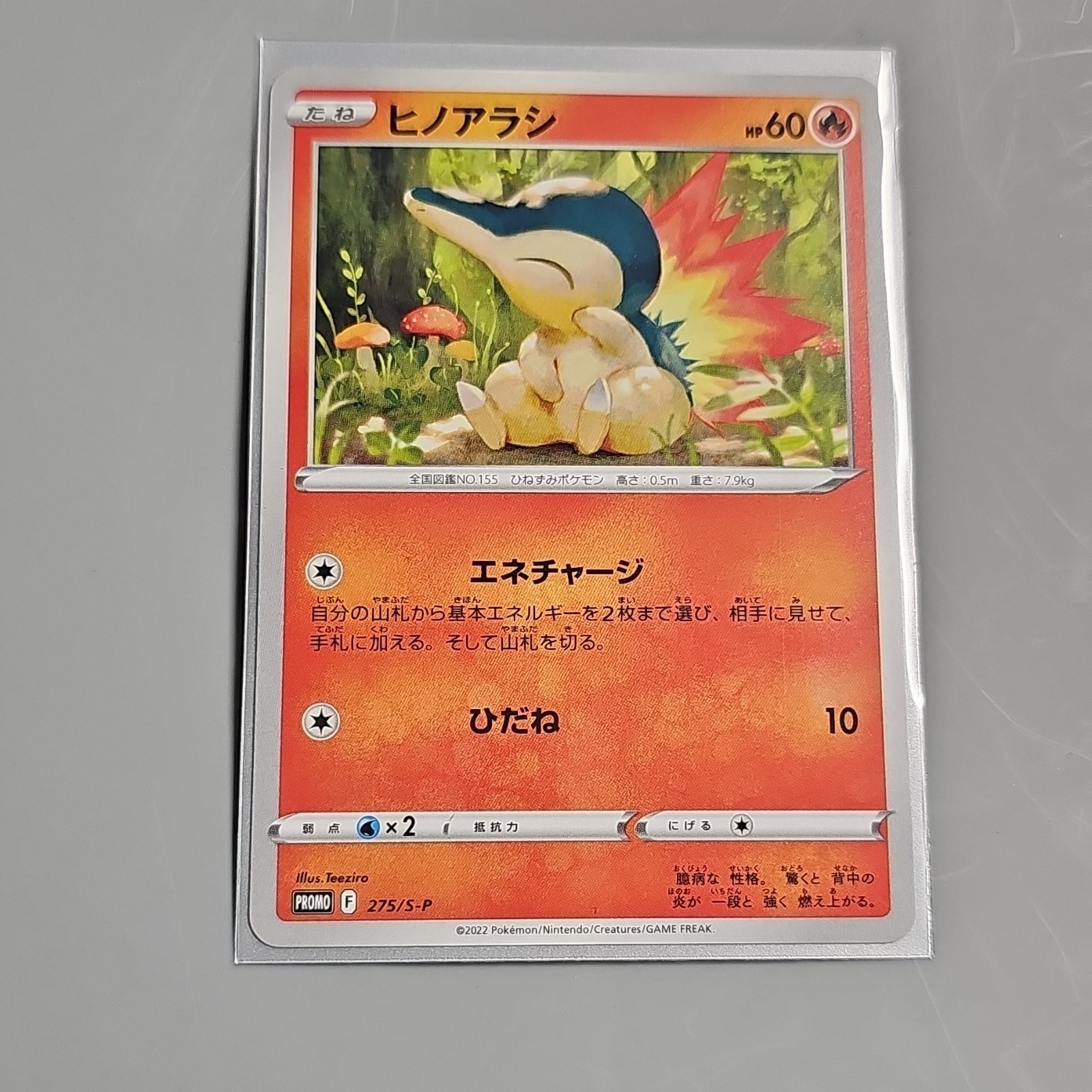 Cyndaquil - 275/S-P 275/S-P S-P: Sword & Shield Promos Regular (Japanese)