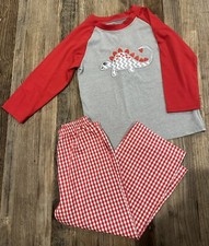 Boys Red And Grey Long Sleeve Dinosaur Set Size 5-6T