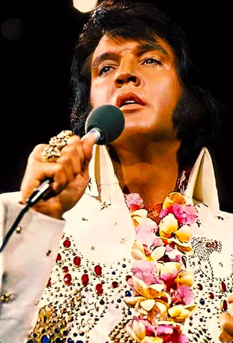 ELVIS PRESLEY High Quality Metal Fridge Magnet 3x4 8202