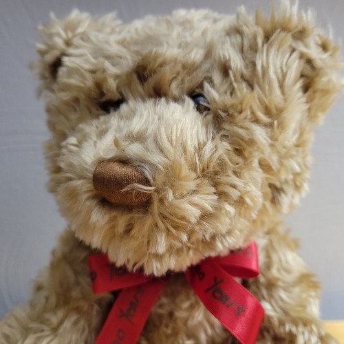 2002 Hallmark Teddy-Tennial Teddy Bear’s 100th Anniversary Plush Stuffed NEW - Imagen 2 de 7