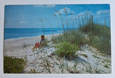 Florida Along the Beautiful Sandy Beaches Vin...