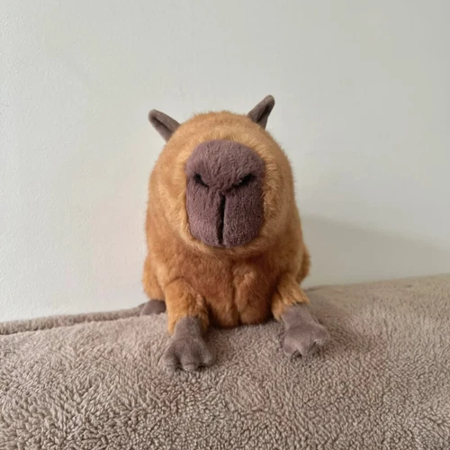 Jellycat CLYDE CAPYBARA Soft Plush Toy NWT Stuffed Rodent RARE & Hard to Find! - Picture 5 of 5