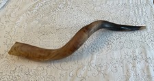 Shofar Yemenite Kudu Horn 27-31" 70-80cm Polished