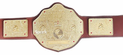 BIG GOLD World Heavyweight Championship Title Belt Replica Rope Border 6mm Zinc - Picture 5 of 10