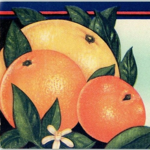 1940's Mountain's Pride Brand Brooksville Florida Citrus Label Jas Mountain Sons
