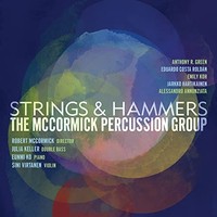 Strings Hammers / - Strings Hammers - Cd - G3Z