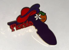 Red Hat Society Pin Florida Red Hat Lady