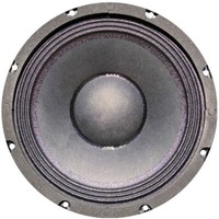 "1 Woofer Master Audio PA10/4 250 Mm 10\" 4 Ohm 300 Watt RMS Disco Party Auto Bar"