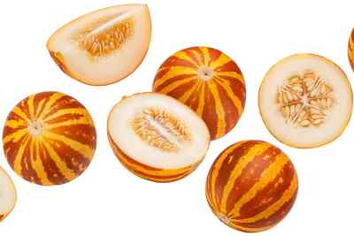 #ad 15 TIGER TIGGER MELON SEEDS heirloomseedguy NON GMO 2026 $1.98