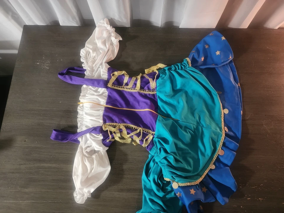 NUEVO Disfraz de Halloween Princesa Gitana Avenida Pierna M/L Juniors Foto 2 de 2