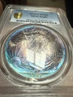 MS66 1993 $1 ASE Silver Eagle Dollar PCGS Blueberry Double Sided Toner Toned