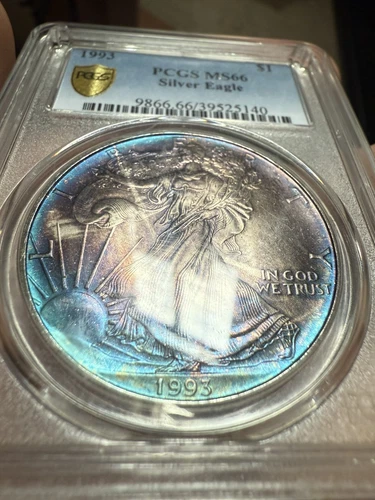 MS66 1993 $1 ASE Silver Eagle Dollar PCGS Blueberry Double Sided Toner Toned